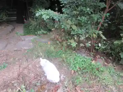 久國神社(東京都)
