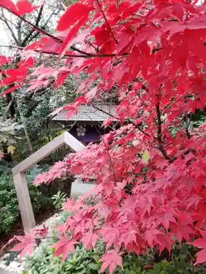 阿佐ヶ谷神明宮(東京都)