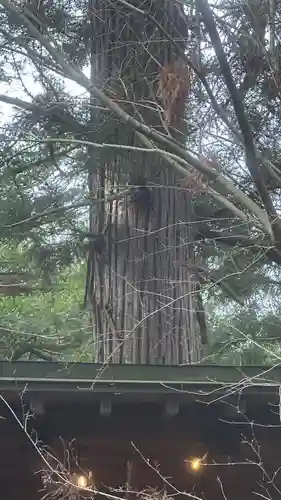 黒沼神社(福島県)