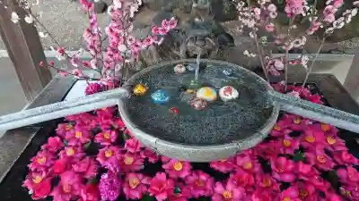 玉村八幡宮(群馬県)