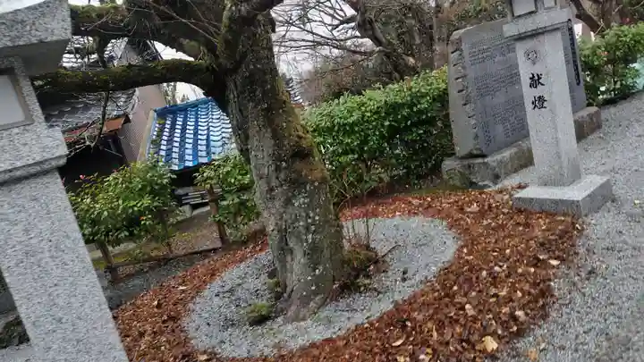 出雲大神宮(京都府)