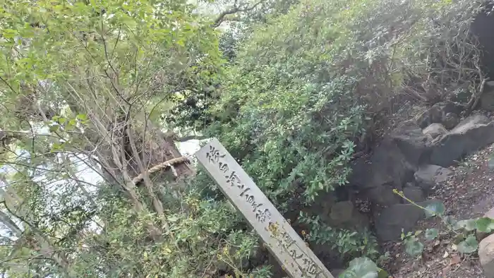 新熊野神社の建物その他