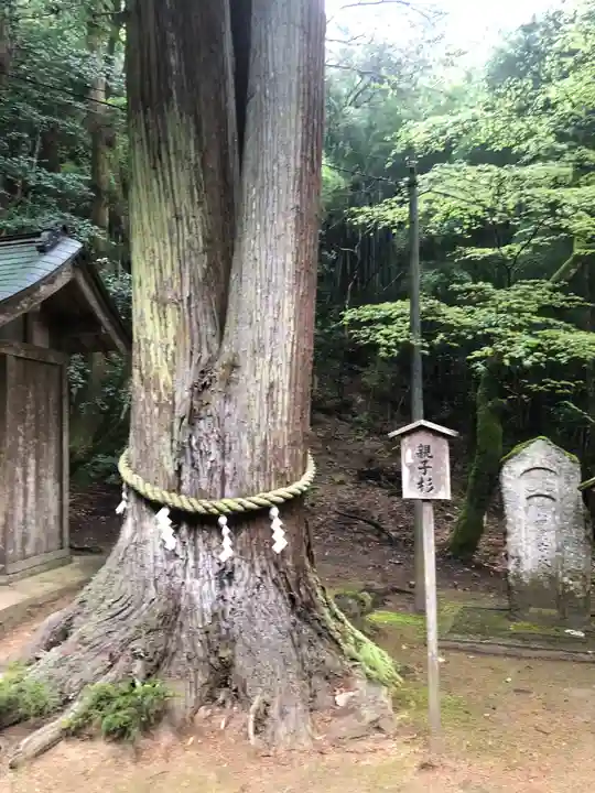 木積神社の自然