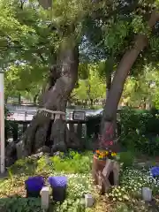 水堂須佐男神社(兵庫県)