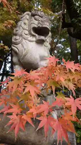 市原稲荷神社の狛犬