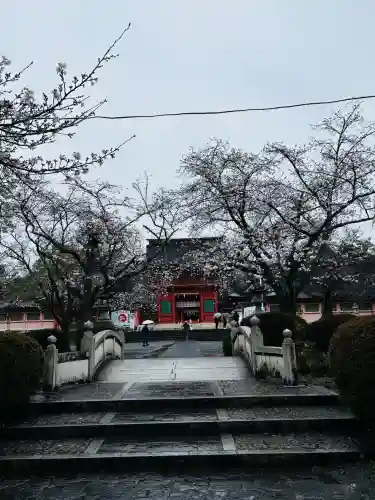 富士山本宮浅間大社の{uncategorized: "未分類", other: "その他", undefined: "問題あり", building: "その他建物", grave: "お墓", sacred_gate: "鳥居", guardian: "狛犬", statue: "像", buddha: "仏像", history: "歴史", nature: "自然", garden: "庭園", animal: "動物", pagoda: "塔", temizu: "手水舎", mountain_gate: "山門・神門", sanctuary: "本殿・本堂", subordinate: "末社・摂社", art: "芸術", scenery: "景色", jizo: "地蔵", ema: "絵馬", goshuin: "御朱印", omikuji: "おみくじ", items: "授与品その他", amulet: "お守り", goshuincho: "御朱印帳", eats: "食事", festival: "お祭り", votive_dance: "神楽", shichigosan: "七五三参", wedding: "結婚式", experience: "体験その他", initially: "初詣", around: "周辺", anti_infection: "感染症対策"}