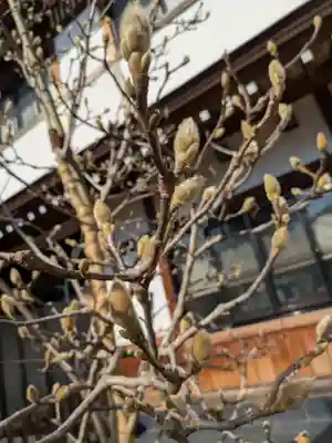 放生寺(東京都)