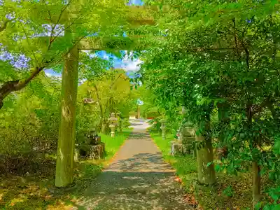 八幡神社（吉根南）の鳥居