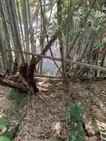 中山神社の自然