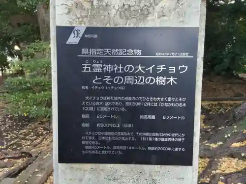 五霊神社のその他建物