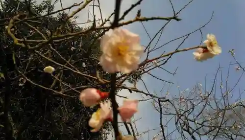 白雲神社の自然