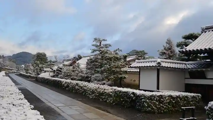 妙心寺(妙心禅寺)の周辺