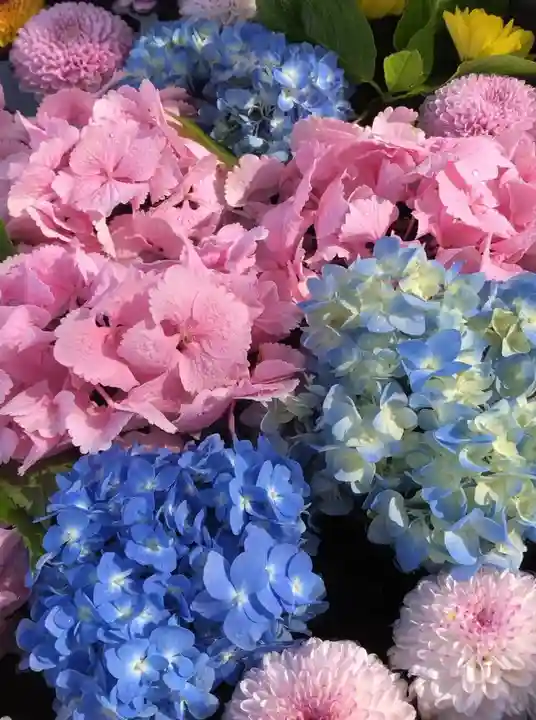 鹿島台神社の自然