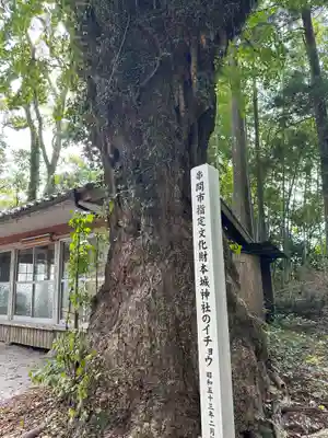 本城神社(宮崎県)