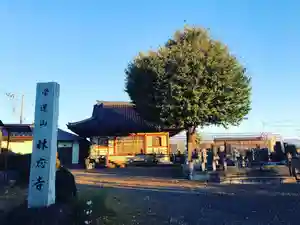 林應寺(山梨県) 2022年12月10日(土)〜(2022年12月09日(金) 14時36分59秒投稿)