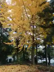 三柱神社(駒場町)の周辺