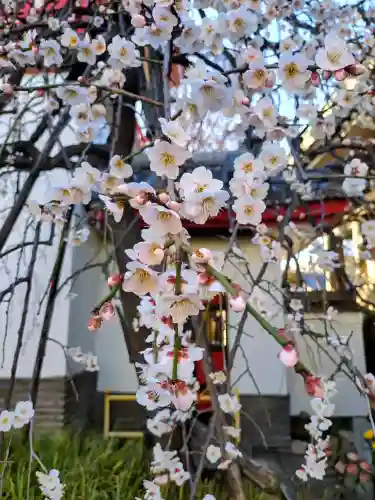 成願寺(東京都)