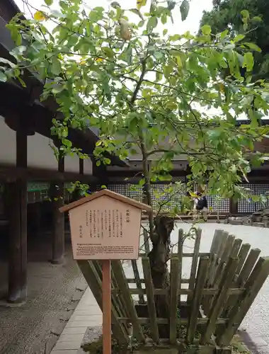 春日大社(奈良県)