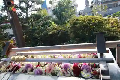 豊景神社の手水舎