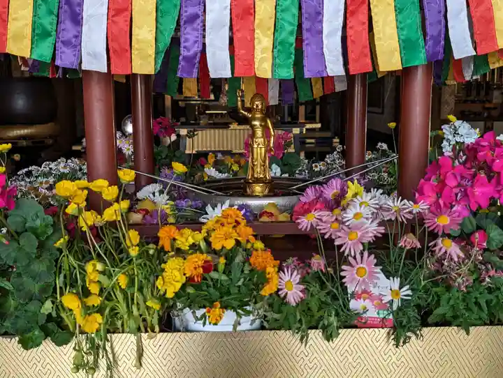 宝勝山 南藏院 蓮光寺(東京都)