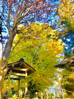 西蓮寺のその他建物