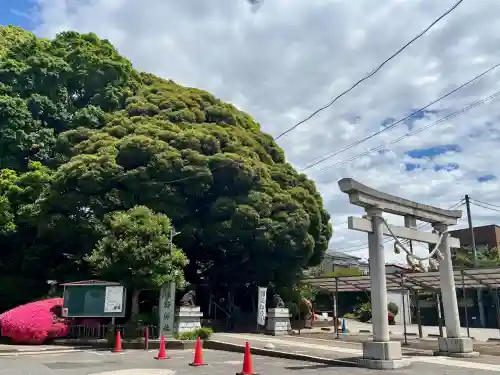 金ヶ作熊野神社の{uncategorized: "未分類", other: "その他", undefined: "問題あり", building: "その他建物", grave: "お墓", sacred_gate: "鳥居", guardian: "狛犬", statue: "像", buddha: "仏像", history: "歴史", nature: "自然", garden: "庭園", animal: "動物", pagoda: "塔", temizu: "手水舎", mountain_gate: "山門・神門", sanctuary: "本殿・本堂", subordinate: "末社・摂社", art: "芸術", scenery: "景色", jizo: "地蔵", ema: "絵馬", goshuin: "御朱印", omikuji: "おみくじ", items: "授与品その他", amulet: "お守り", goshuincho: "御朱印帳", eats: "食事", festival: "お祭り", votive_dance: "神楽", shichigosan: "七五三参", wedding: "結婚式", experience: "体験その他", initially: "初詣", around: "周辺", anti_infection: "感染症対策"}