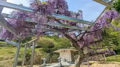 金蛇水神社(宮城県)