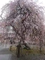 宗仲寺(神奈川県)