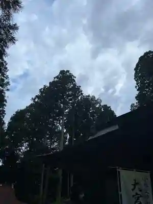 大宮温泉神社(栃木県)