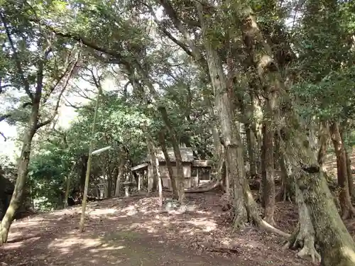 濱殿神社の周辺