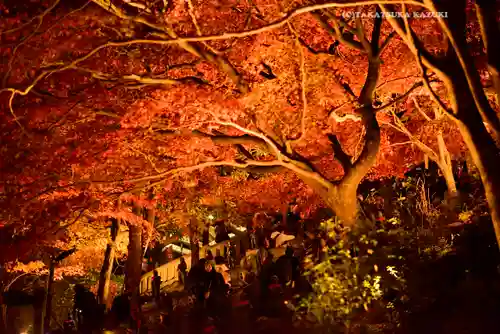 大山寺(神奈川県)