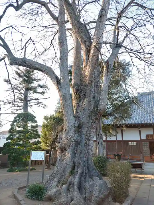 龍山院(埼玉県)
