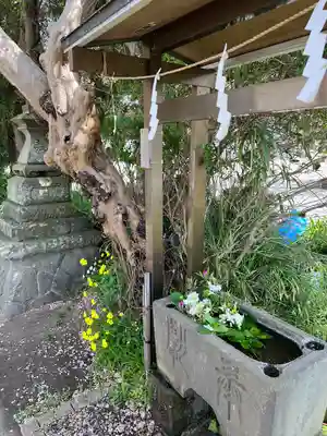 白山神社(神奈川県)