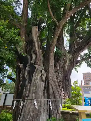 磐井神社(東京都)