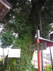 師岡神社(東京都)