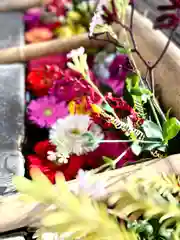 眞田神社の手水