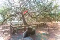 羽車神社(静岡県)