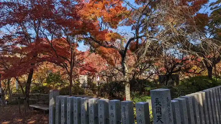長岡天満宮(京都府)