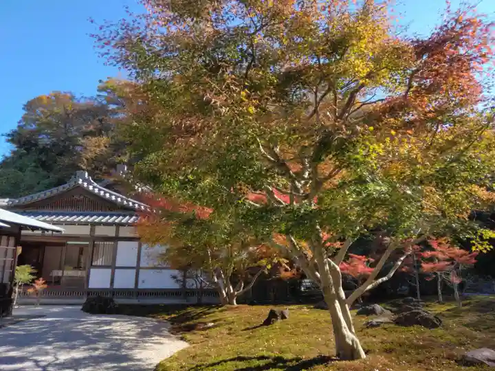 長壽寺(長寿寺)(神奈川県)