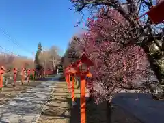 朝日森天満宮の庭園