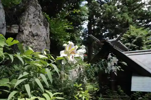 鹿島大神宮の庭園