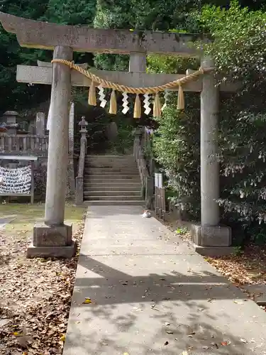 前玉神社の鳥居