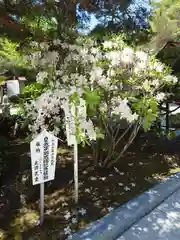 北見神社の庭園