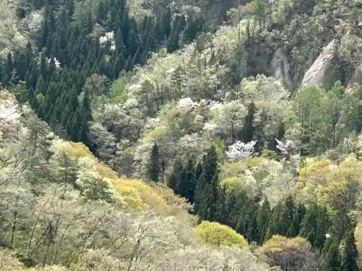 有明樹玉神社の{uncategorized: "未分類", other: "その他", undefined: "問題あり", building: "その他建物", grave: "お墓", sacred_gate: "鳥居", guardian: "狛犬", statue: "像", buddha: "仏像", history: "歴史", nature: "自然", garden: "庭園", animal: "動物", pagoda: "塔", temizu: "手水舎", mountain_gate: "山門・神門", sanctuary: "本殿・本堂", subordinate: "末社・摂社", art: "芸術", scenery: "景色", jizo: "地蔵", ema: "絵馬", goshuin: "御朱印", omikuji: "おみくじ", items: "授与品その他", amulet: "お守り", goshuincho: "御朱印帳", eats: "食事", festival: "お祭り", votive_dance: "神楽", shichigosan: "七五三参", wedding: "結婚式", experience: "体験その他", initially: "初詣", around: "周辺", anti_infection: "感染症対策"}