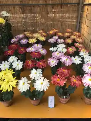 津島神社(愛知県)