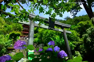 太平山神社(栃木県)