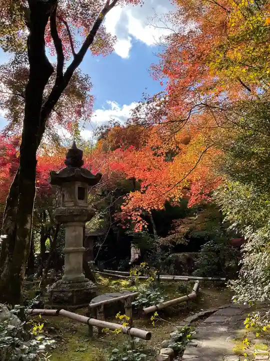 直指庵(京都府)
