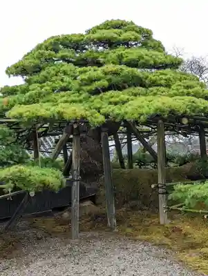 善峯寺(京都府)