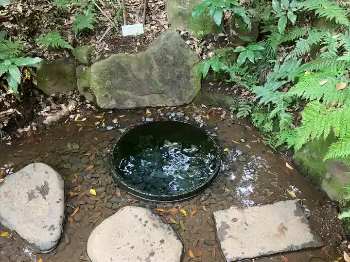 明治神宮(東京都)