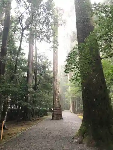 瀧原宮(皇大神宮別宮)の自然